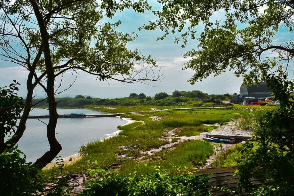 Peaceful Cuttyhunk shoreline framed by trees, with grassy marshland and small docks leading into calm water.
