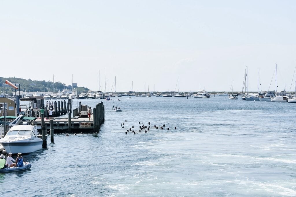 People swimming in the harbor after jumping from the departing ferry, with boats and docks in the background on a sunny day.