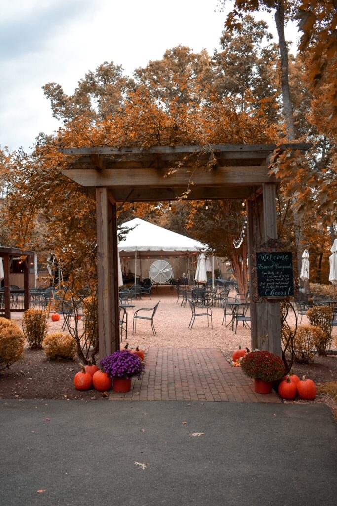 Wooden arbor entrance to Keswick Vineyard decorated with pumpkins and fall foliage.