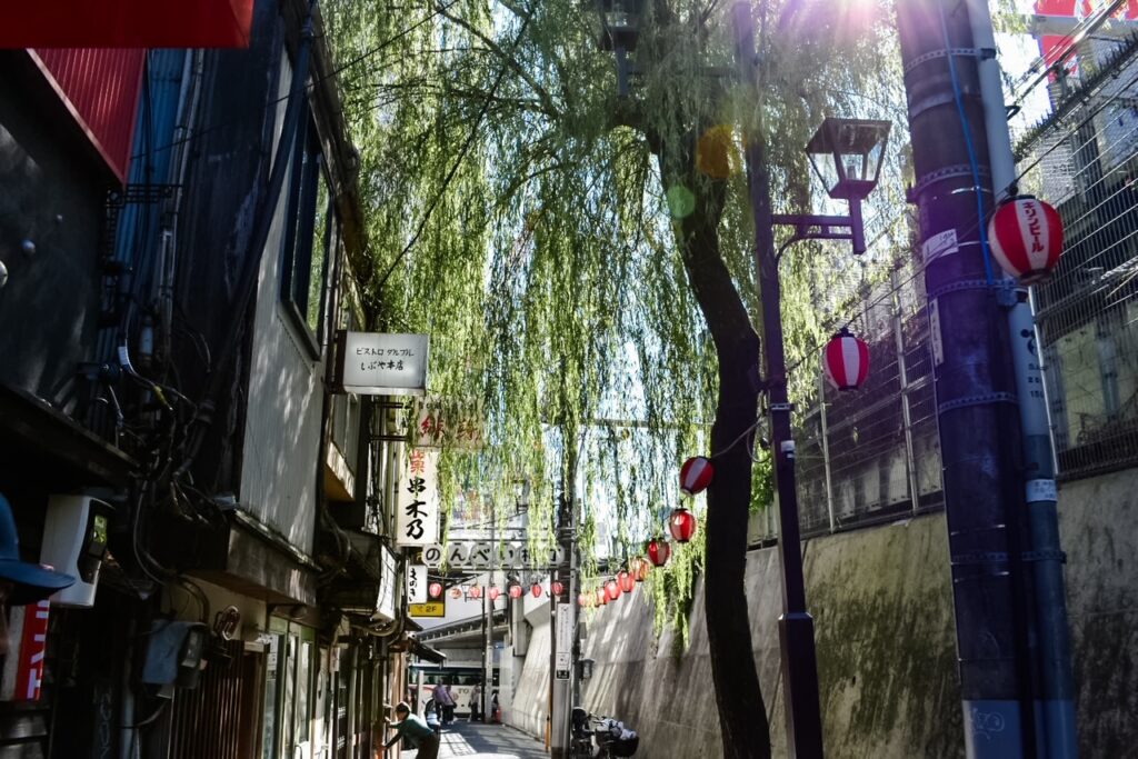 Daytime street in Tokyo with willow trees and red lanterns hanging above small shops.