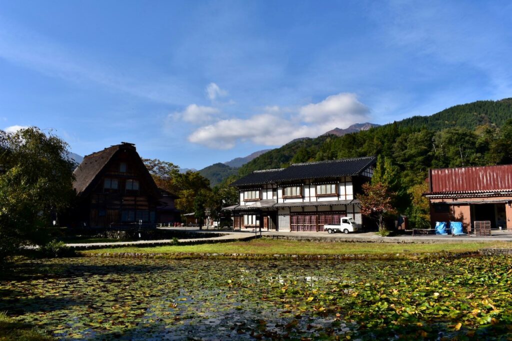 Scenic village view with wooden houses, a pond covered in lily pads, and forested mountains in the background.