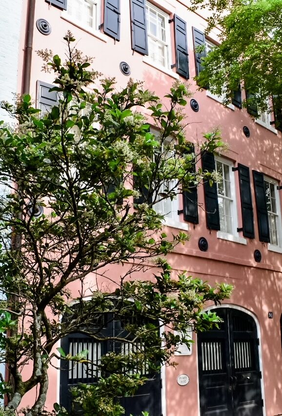 A row of pastel-colored historic houses on Rainbow Row in Charleston, with pink, yellow, and blue facades partially shaded by leafy trees.
