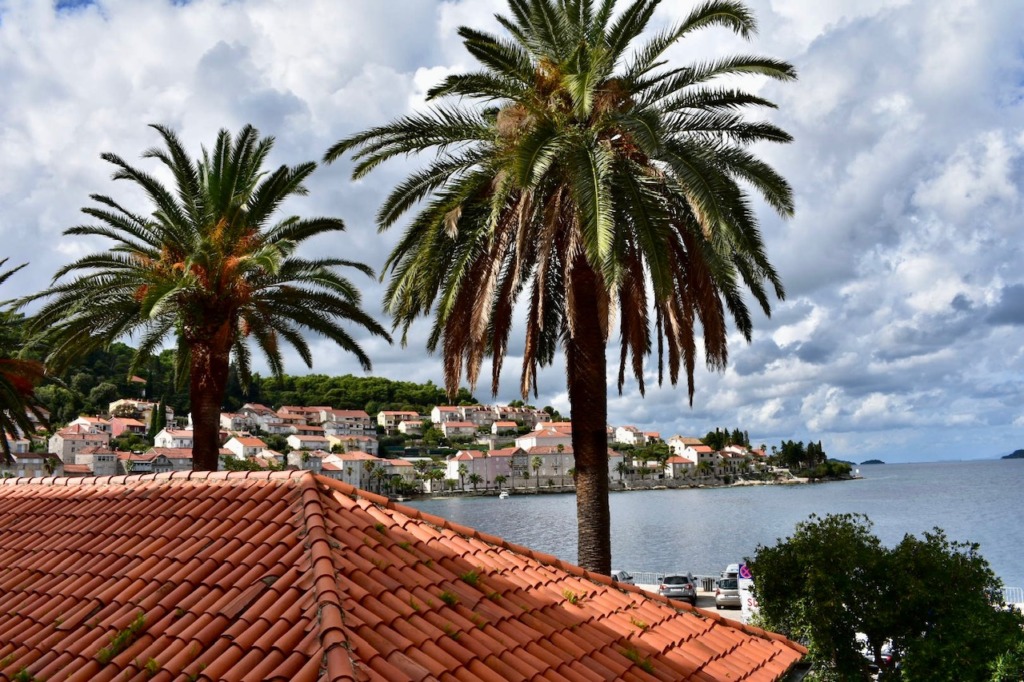 Coastal view with palm trees and red-tiled rooftops by the bay.