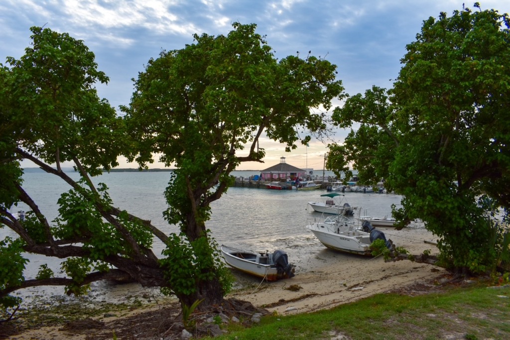 Boats anchored near the shore at sunset on Harbour Island, Bahamas, framed by trees along the waterfront