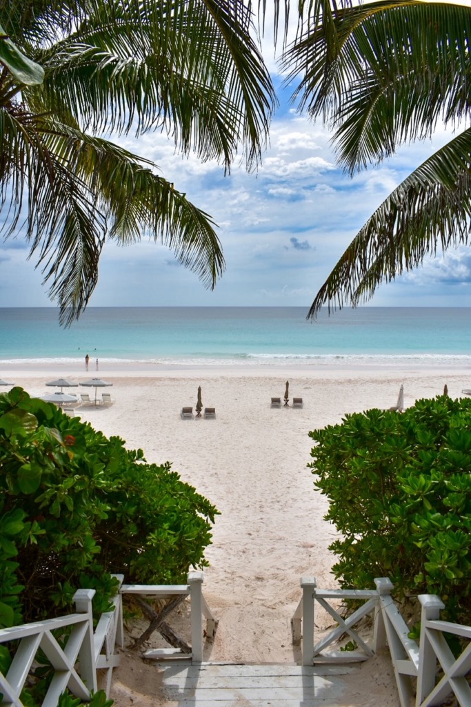 Pathway lined with palm trees leading to Pink Sand Beach from Ocean View Hotel on Harbour Island.
