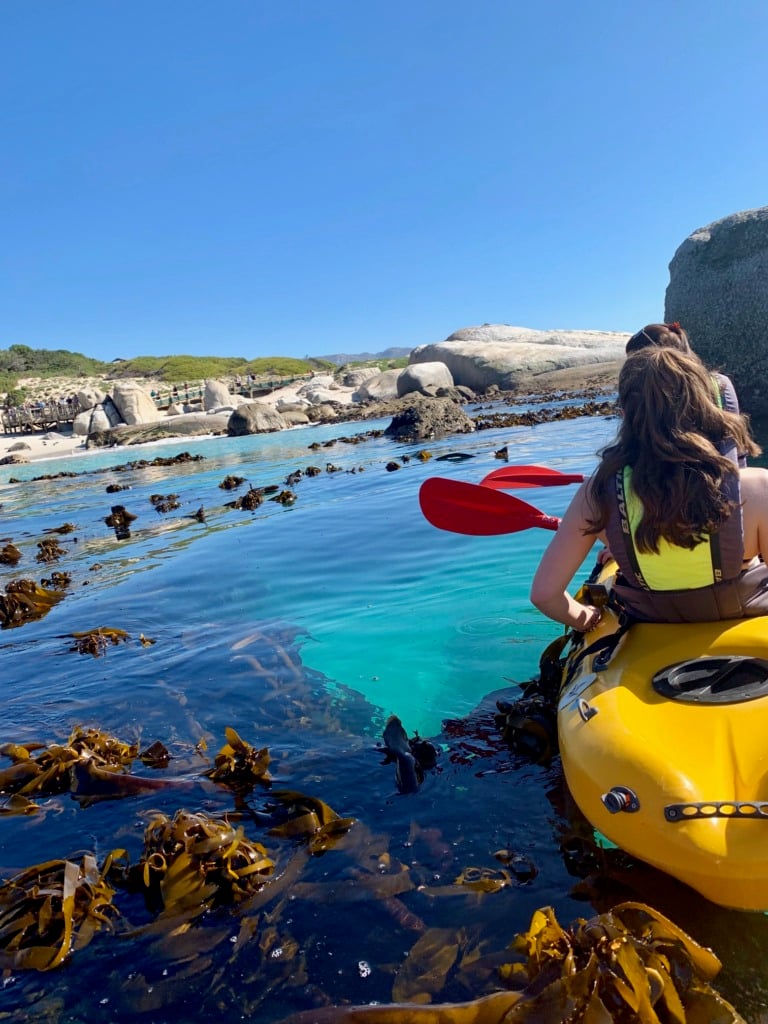 A woman in a yellow kayak paddling through bright turquoise water at Boulder's Beach, with kelp floating on the surface and rocky boulders visible on shore.