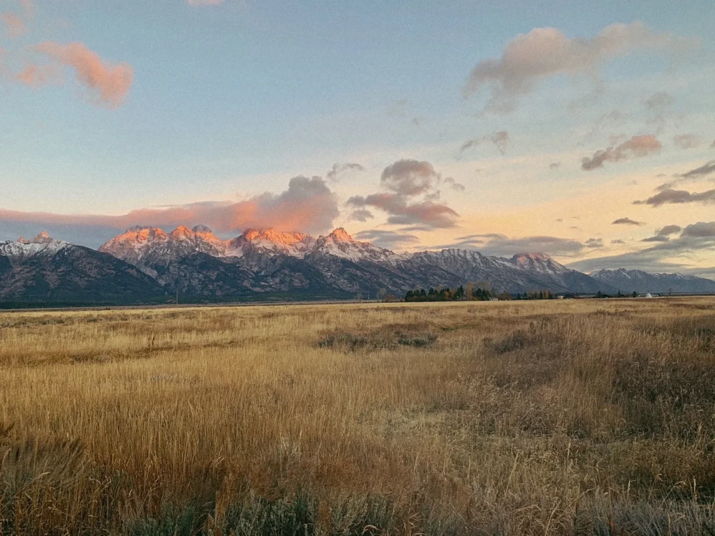The Grand Teton mountain range lit up in warm orange alpenglow at sunrise, seen across a wide golden prairie in Jackson Hole, Wyoming