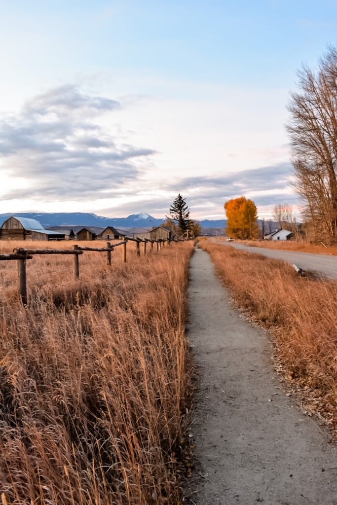 Wide open autumn grassland near Jackson Hole, Wyoming, with a single pine tree in the middle ground and mountain ridges stretching across the horizon under a cloudy sky