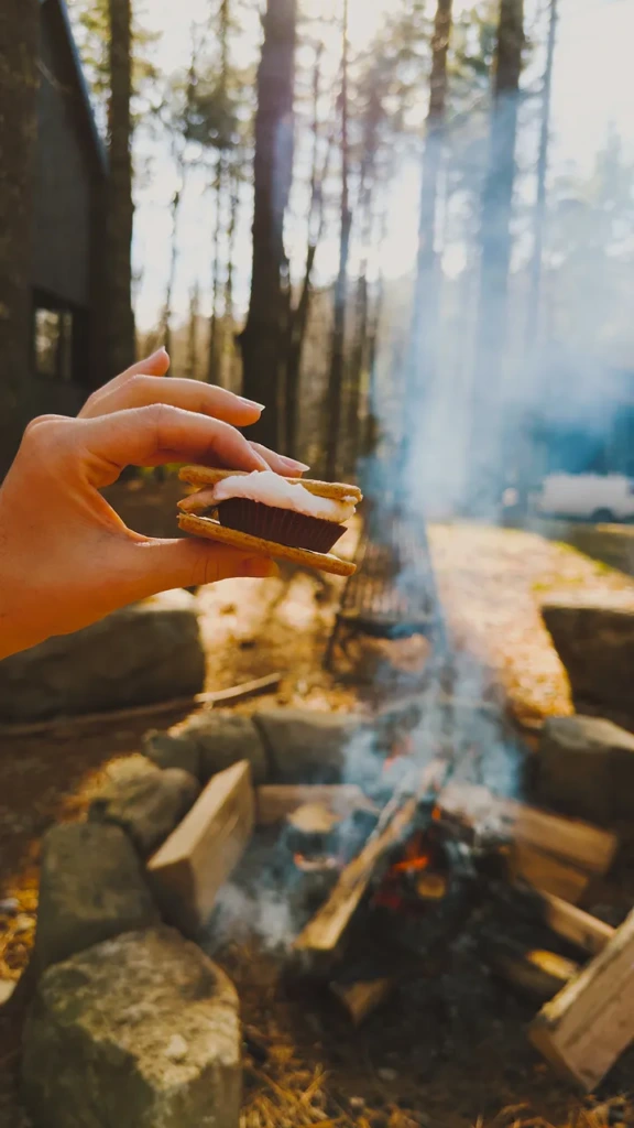 A hand holding a freshly made s'more above a crackling campfire in the woods, with sunlight filtering through tall pine trees in the background
